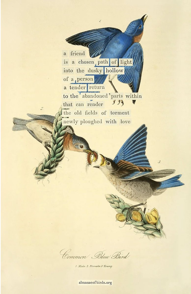 Tony Lawlor tweet media