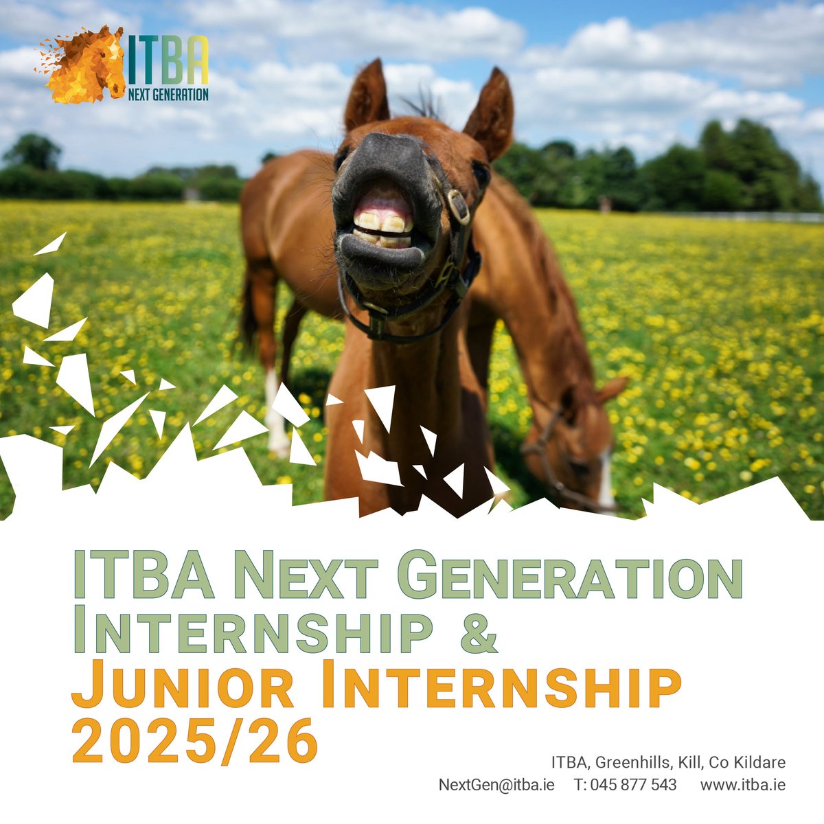 📢Applications are 𝐎𝐏𝐄𝐍 for the ITBA Next Generation Internship Scheme 2025/26!  

Apply now for the chance to gain year-long industry placement and work experience in the thoroughbred sector - you won't regret it!  

👉Read more &amp; application forms: tinyurl.com/y2e97rsf