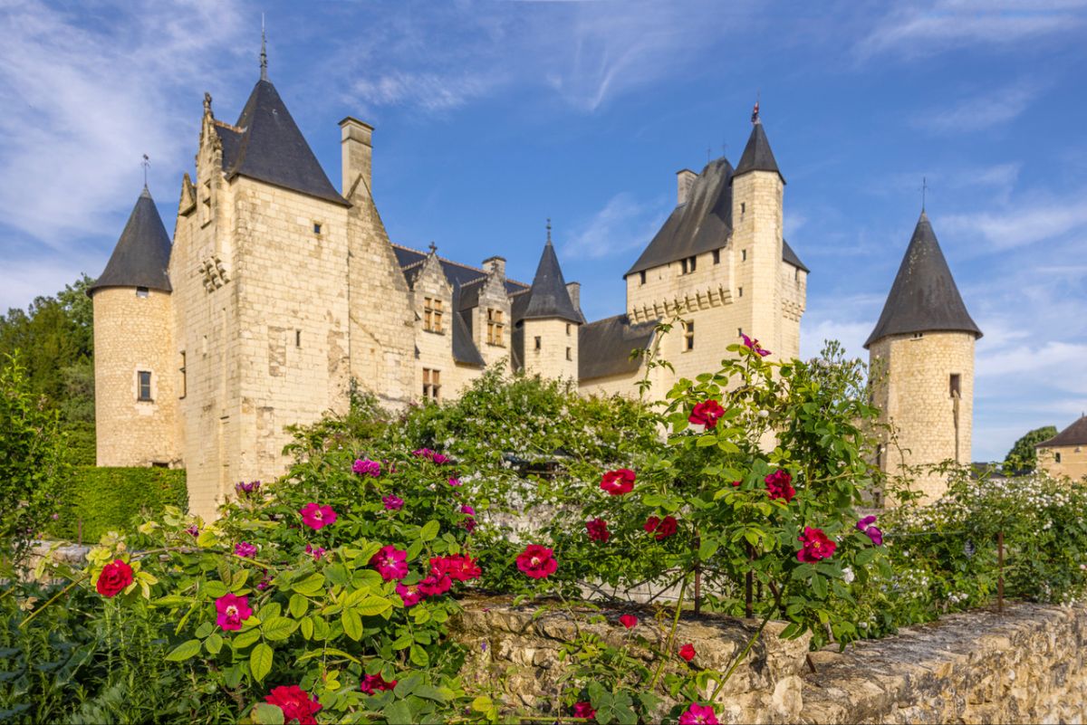 Team-Building au Château du Rivau : Célébrons le Printemps au Jardin ! 🌸 - mailchi.mp/32fb70046478/v…