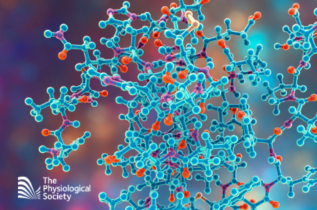 Nutrition Society (@nutritionsoc) on Twitter photo Join <a href="/ThePhySoc/">The Physiological Society</a> at their 2-day meeting: The Role of #Insulin in Whole-Body Homeostasis Beyond #Glycaemic Control taking place on 1-2 September 2025 in Aberdeen.
#Nutrition Society members receive reduced rates bit.ly/425zUSo
#BGL #nutritionist #dietitian #nutritionevent Join <a href="/ThePhySoc/">The Physiological Society</a> at their 2-day meeting: The Role of #Insulin in Whole-Body Homeostasis Beyond #Glycaemic Control taking place on 1-2 September 2025 in Aberdeen.
#Nutrition Society members receive reduced rates bit.ly/425zUSo
#BGL #nutritionist #dietitian #nutritionevent