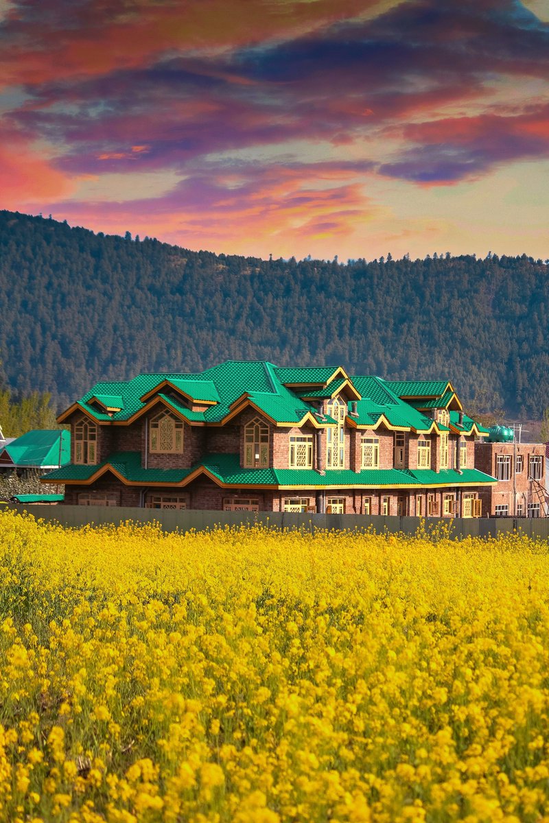 atharnajar18's tweet photo. Spring🌱🌷🌸 2025
. 
@dicbandipora @JandKTourism @NatGeo @RisingKashmir https://t.co/IvJ9V24nwN