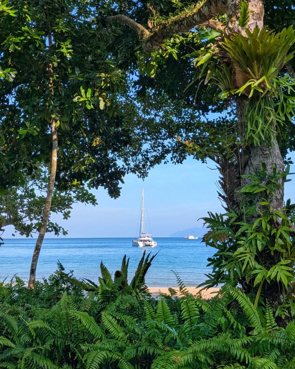 DataiLangkawi's tweet photo. A day at Datai Bay feels like a quiet dream. Gaze beyond the stillness of the Andaman Sea, where time slows and nature unfolds at its own rhythm.⁠
⁠
📷 @mikesullivanuk ⁠
⁠
#TheDataiLangkawi #DiscoverDatai https://t.co/OcwQOMHVUm