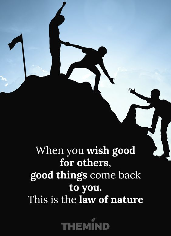 Mindful Maven (@mindfulmaven_) on Twitter photo 