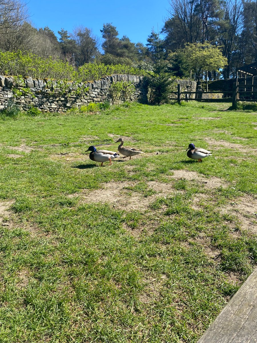 Equality Together tweet media