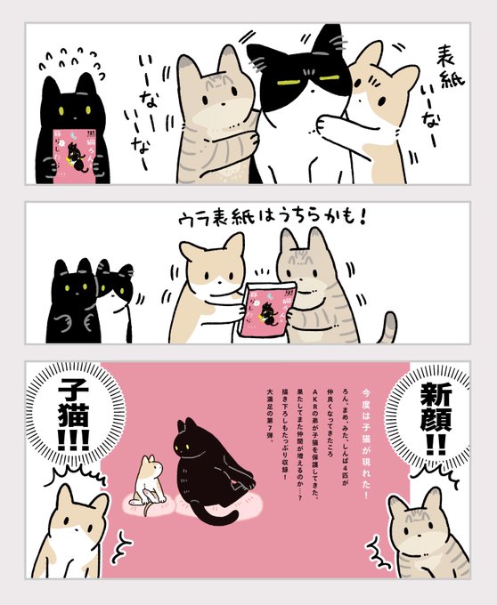 ねこりぼん様 猫薔りぼん🌹🎀 (@NekobaraRibon) / X