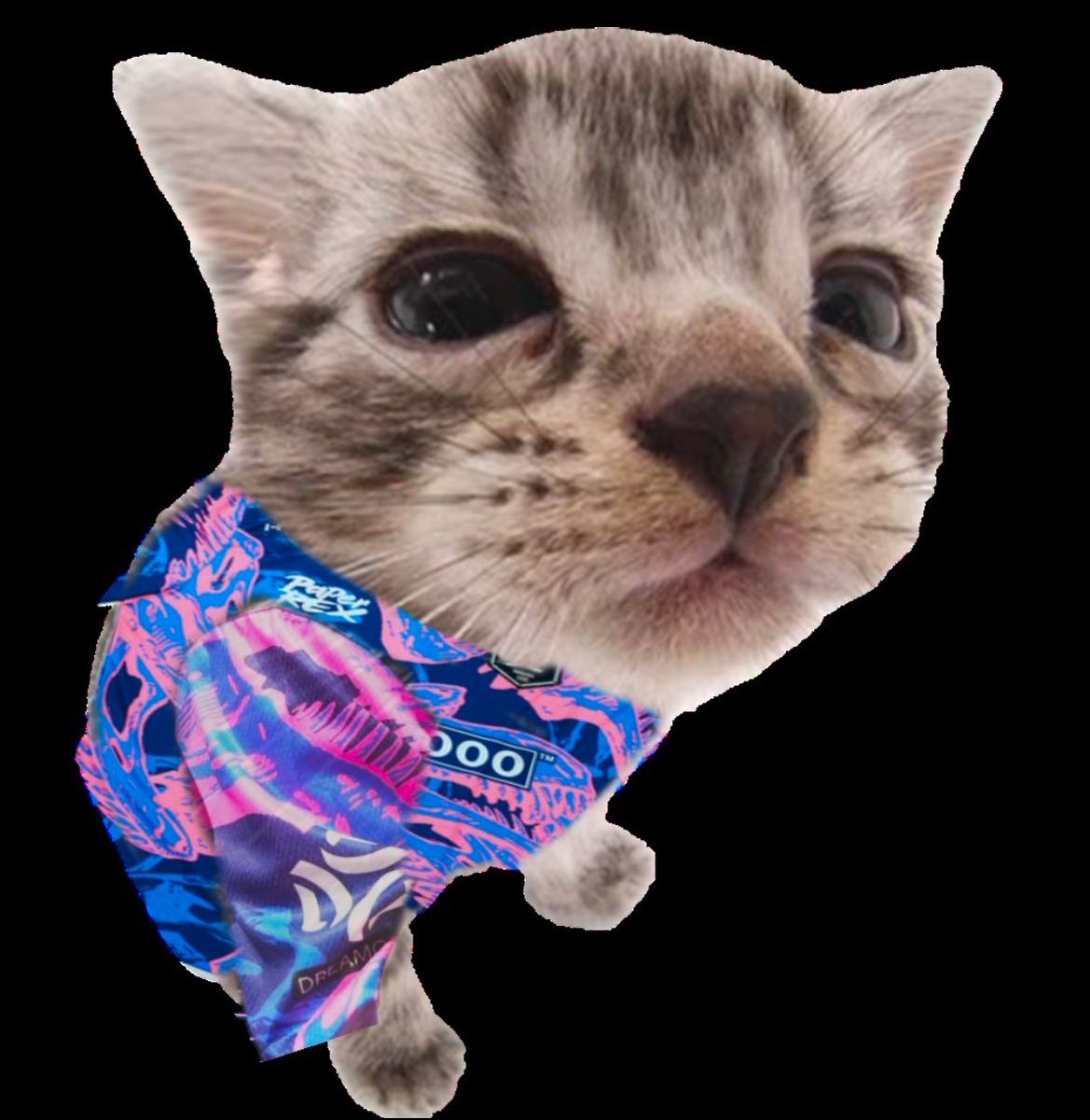 Me prepping up to have psychological damage watching my favorite team :D