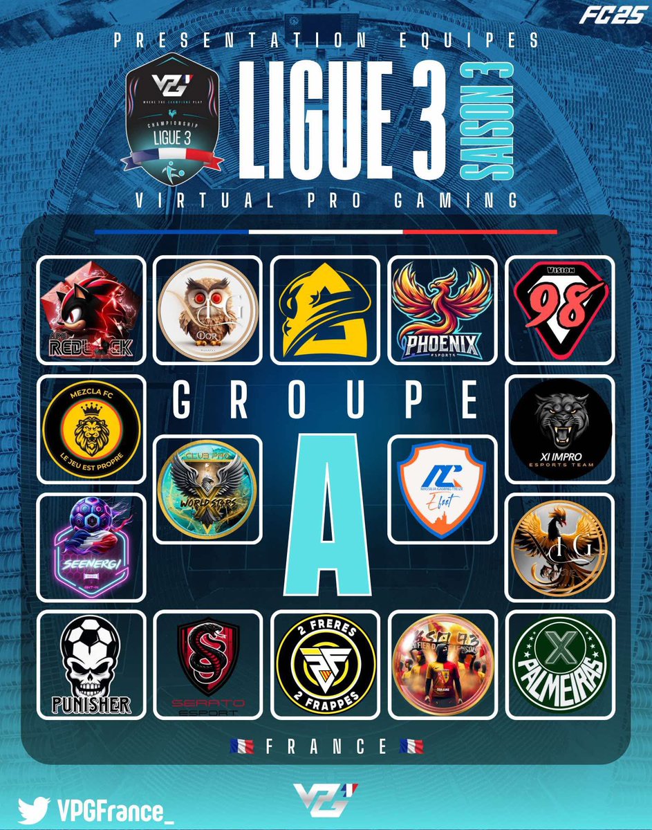 VPG France tweet media