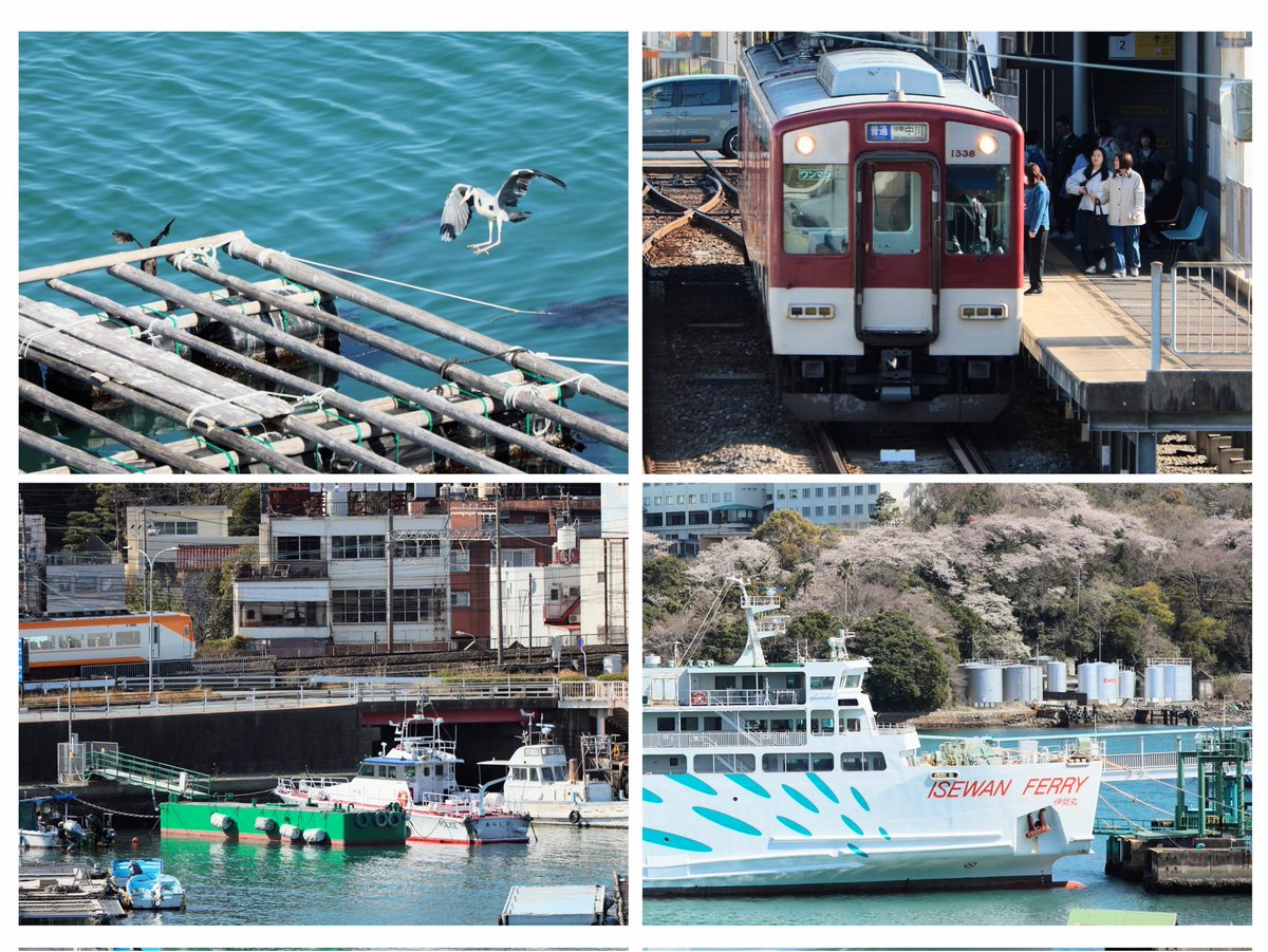 typhoodo's tweet photo. Snapshots.
(於・鳥羽市内 25年04月)
Canon EOS R | Canon EF70-300mm

こんばんは。
海と交通が濃縮されていました
#写真好きな人と繋がりたい
#ファインダー越しの私の世界 https://t.co/2N5O2Zt6vD