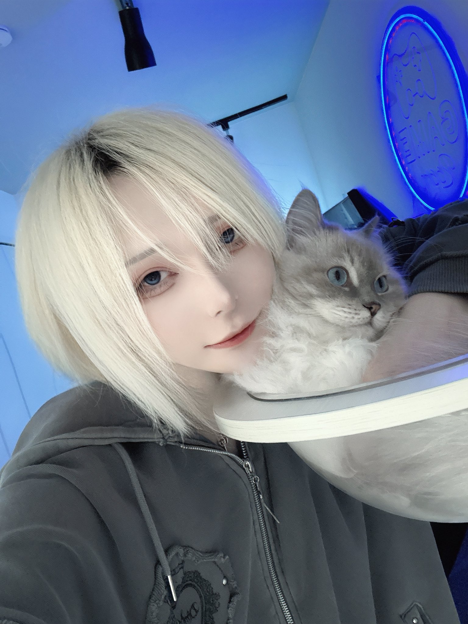 猫 (@neko84364381446) / X