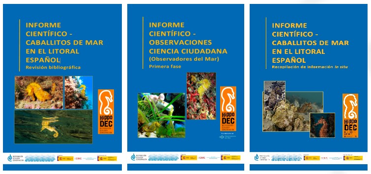 Proyecto Hippo-DEC (@hippo_dec) on Twitter photo Si te interesan los #caballitosdemar ya puedes consultar en nuestra web 💦hippodec.es (RECURSOS) los Informes elaborados en el marco del proyecto🌊
<a href="/mitecogob/">Transición Ecológica y Reto Demográfico</a> <a href="/IIM_CSIC/">Instituto de Investigacións Mariñas - CSIC</a> <a href="/eurosyng/">🇪 🇺 🇷 🇴 🇸 🇾 🇳 🇬</a> <a href="/JorgeUrcera/">Jorge Urcera</a> <a href="/FundacionCETMAR/">Fundación CETMAR</a> <a href="/CIM_Uvigo/">CIM UVigo</a> <a href="/auladelmarmed/">FAMM</a> Si te interesan los #caballitosdemar ya puedes consultar en nuestra web 💦hippodec.es (RECURSOS) los Informes elaborados en el marco del proyecto🌊
<a href="/mitecogob/">Transición Ecológica y Reto Demográfico</a> <a href="/IIM_CSIC/">Instituto de Investigacións Mariñas - CSIC</a> <a href="/eurosyng/">🇪 🇺 🇷 🇴 🇸 🇾 🇳 🇬</a> <a href="/JorgeUrcera/">Jorge Urcera</a> <a href="/FundacionCETMAR/">Fundación CETMAR</a> <a href="/CIM_Uvigo/">CIM UVigo</a> <a href="/auladelmarmed/">FAMM</a>