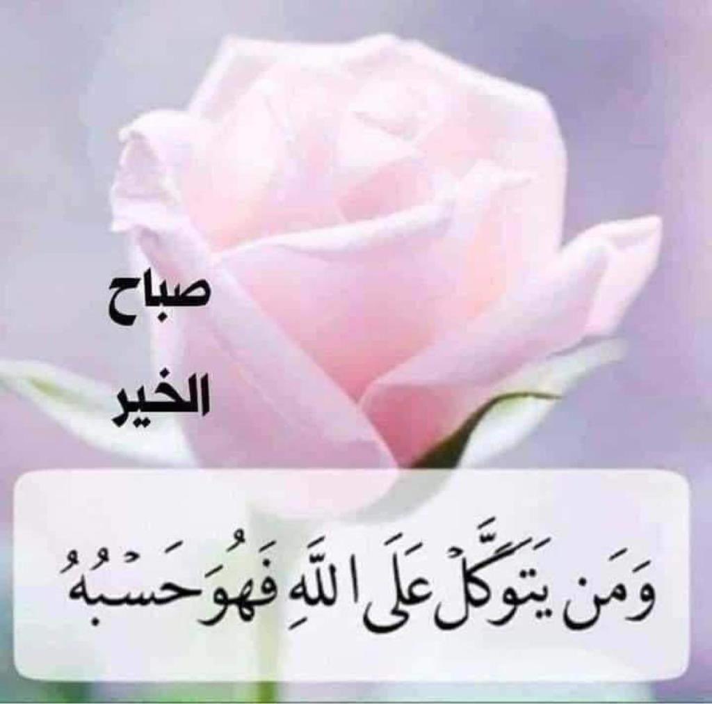 hamed ALshamry tweet media