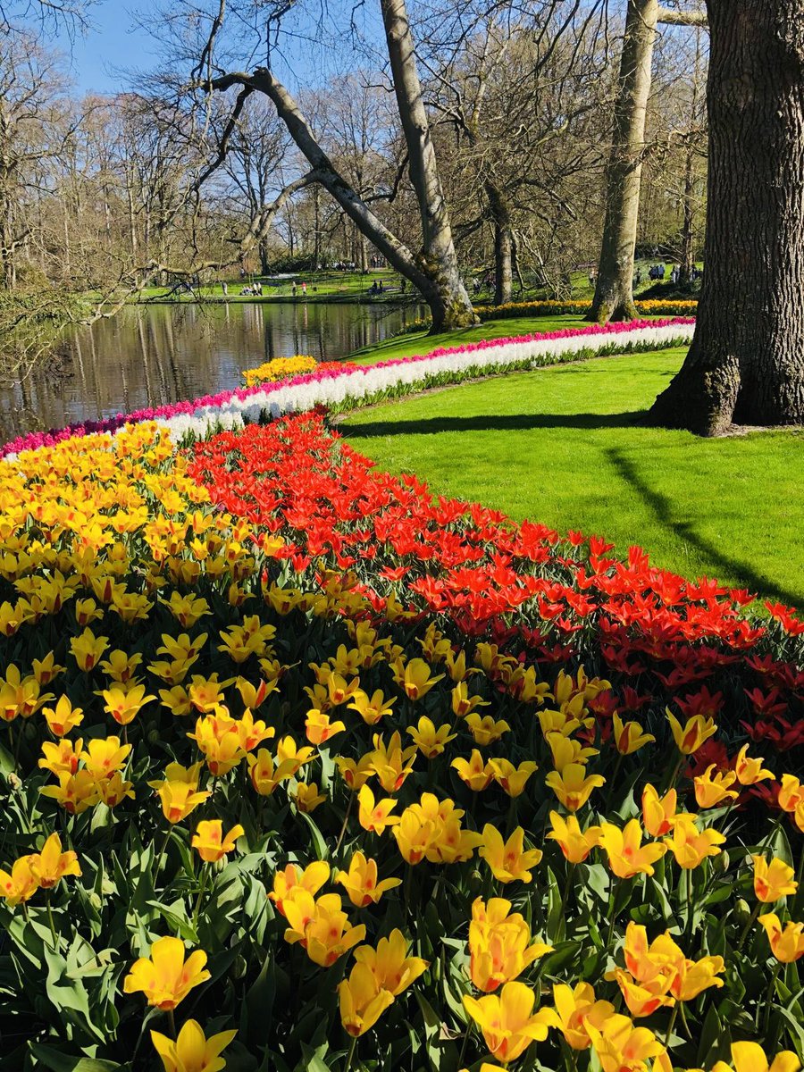TourcompanyNL's tweet photo. The only downside to blooming tulips? Unfortunately, they only last a few weeks! So secure your spot now!
ποΈ Limited spots available - Book now!
π Click the link in our bio to secure your spot.
#keukenhof #tulipseason #amsterdam #excursion #tour #topexcursion https://t.co/YlurDUHQeK