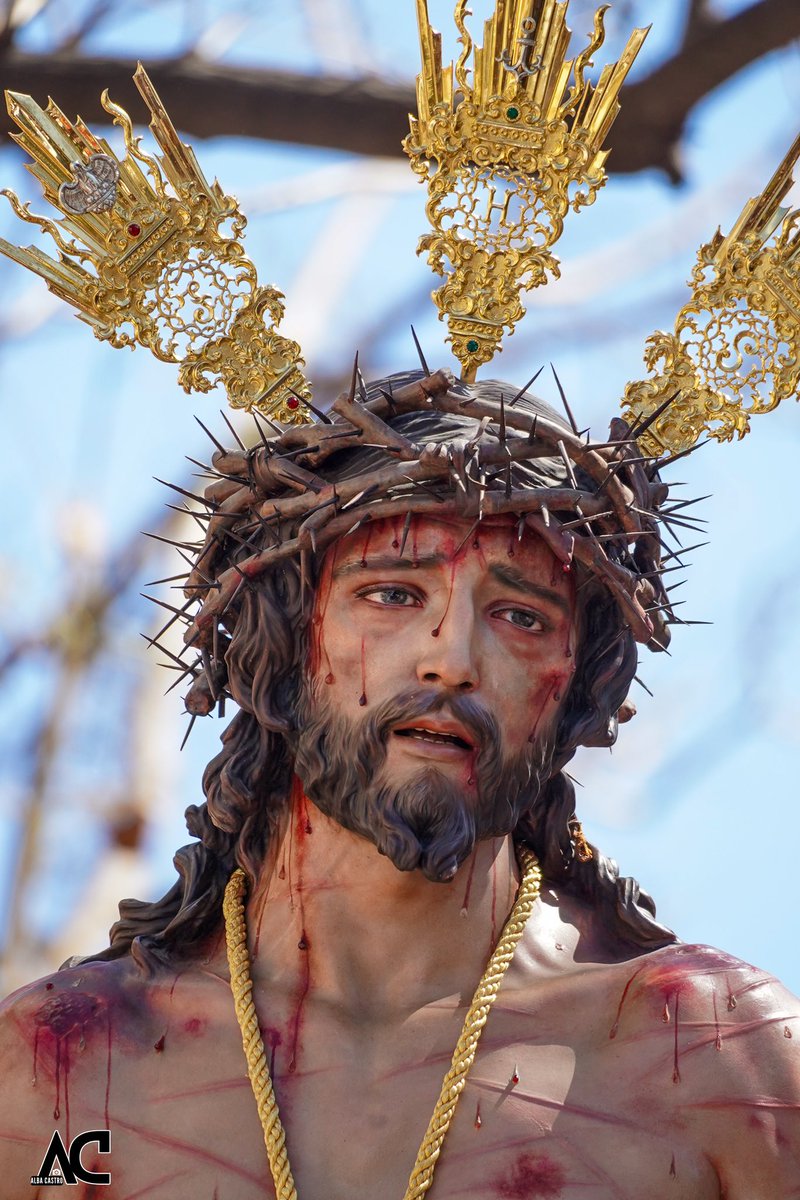 AlbaaCastro's tweet photo. Domingo de Ramos - Despojado 🧵 1/2 https://t.co/VieKDDs6AB