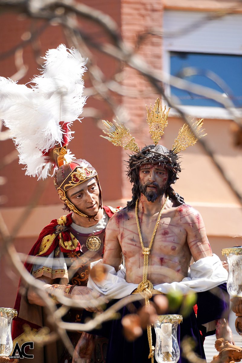 AlbaaCastro's tweet photo. Domingo de Ramos - Despojado 🧵 1/2 https://t.co/VieKDDs6AB