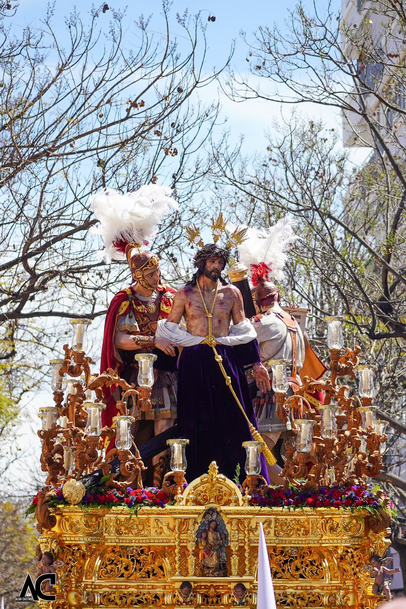 AlbaaCastro's tweet photo. Domingo de Ramos - Despojado 🧵 1/2 https://t.co/VieKDDs6AB
