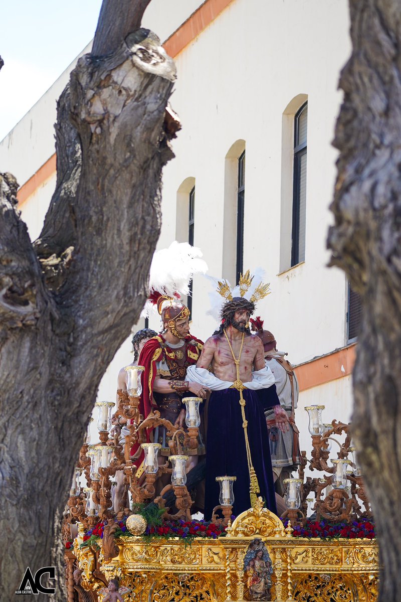 AlbaaCastro's tweet photo. Domingo de Ramos - Despojado 🧵 1/2 https://t.co/VieKDDs6AB