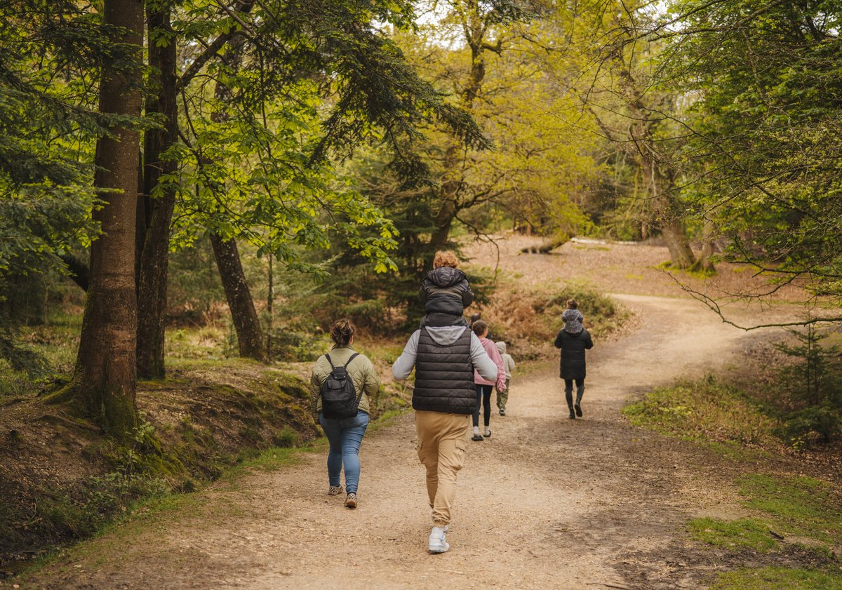 Come for Easter! Longer days, new life, and plenty to explore - Easter is a beautiful time to experience the Forest. Plan your spring escape and feel the season shift.

Start your Easter weekend planning now: bit.ly/3QM8Ilj