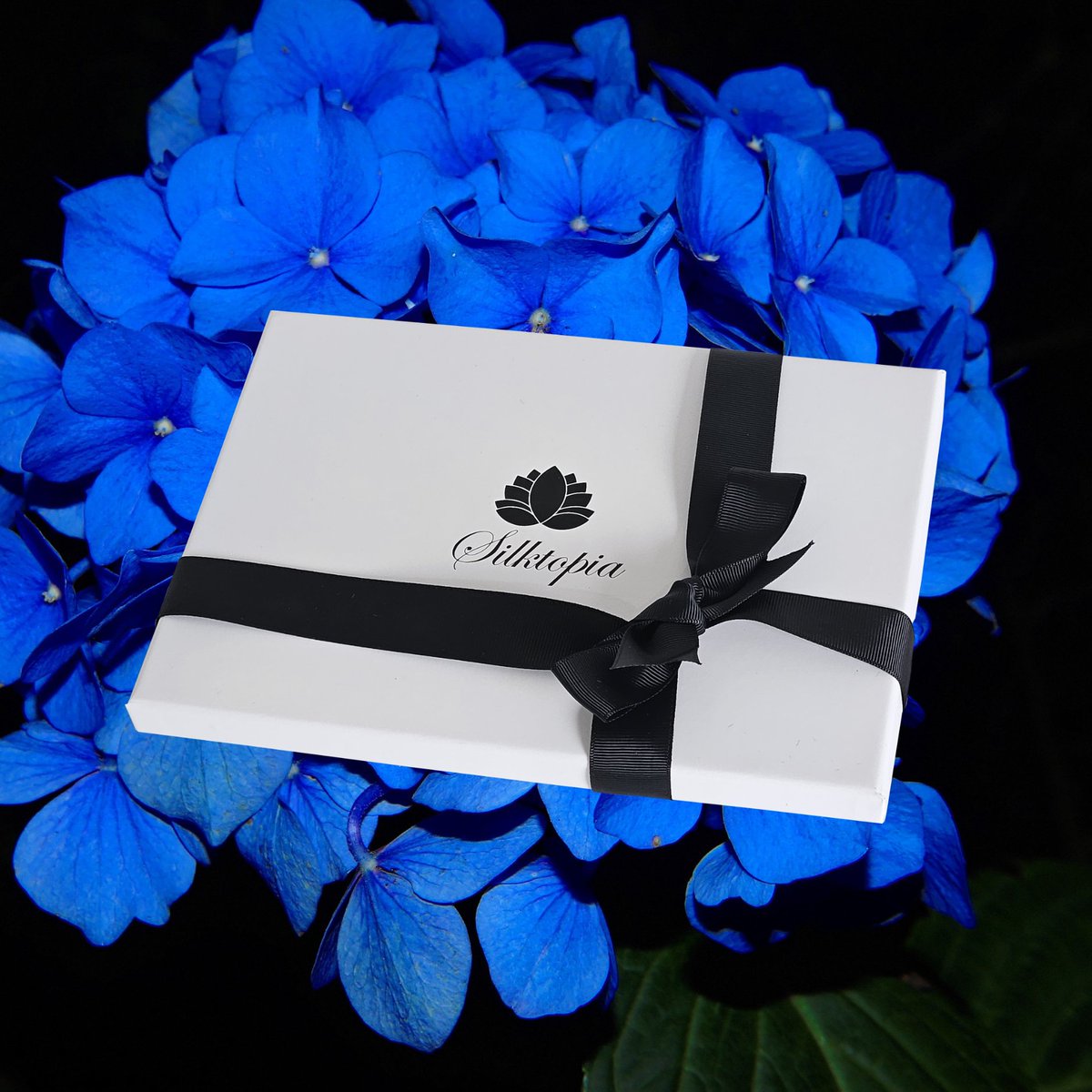 Hydrangea
Just one left. Soft lavender, cloudy blue &amp; petal pink.
A favourite floral — nearly gone.
🔗 silktopia.co.uk/products/hydra…
#OnlyOneLeft #Silktopia