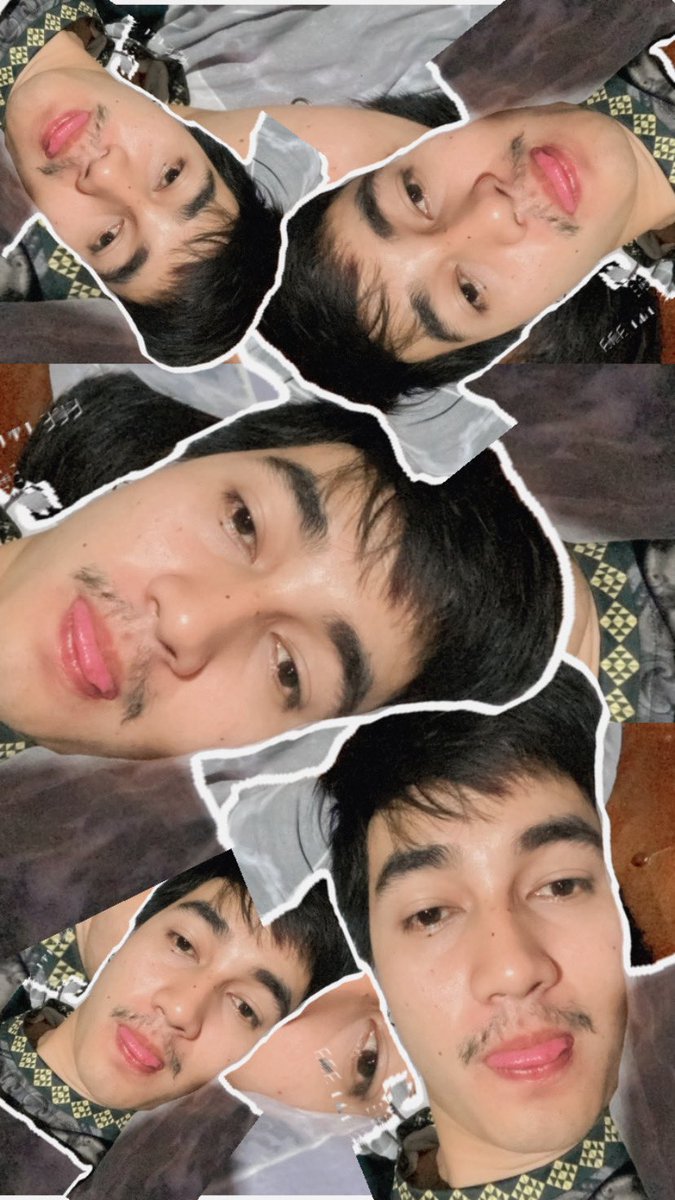 แมวขนสีรุ้ง tweet media