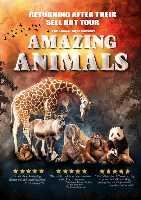 RothTheatres's tweet photo. 🦁Amazing Animals🦁

The only show around that you get to see Life sized crocodiles, Sloths, Reindeer, penguins, Orangutans and maybe even a spraying skunk..

📆Sat 28 Jun
⏰1.30pm &amp; 4.30pm
🎟£17.50, conc £16

https://t.co/0RzRyUoK1x https://t.co/ZPm5h6QLHB