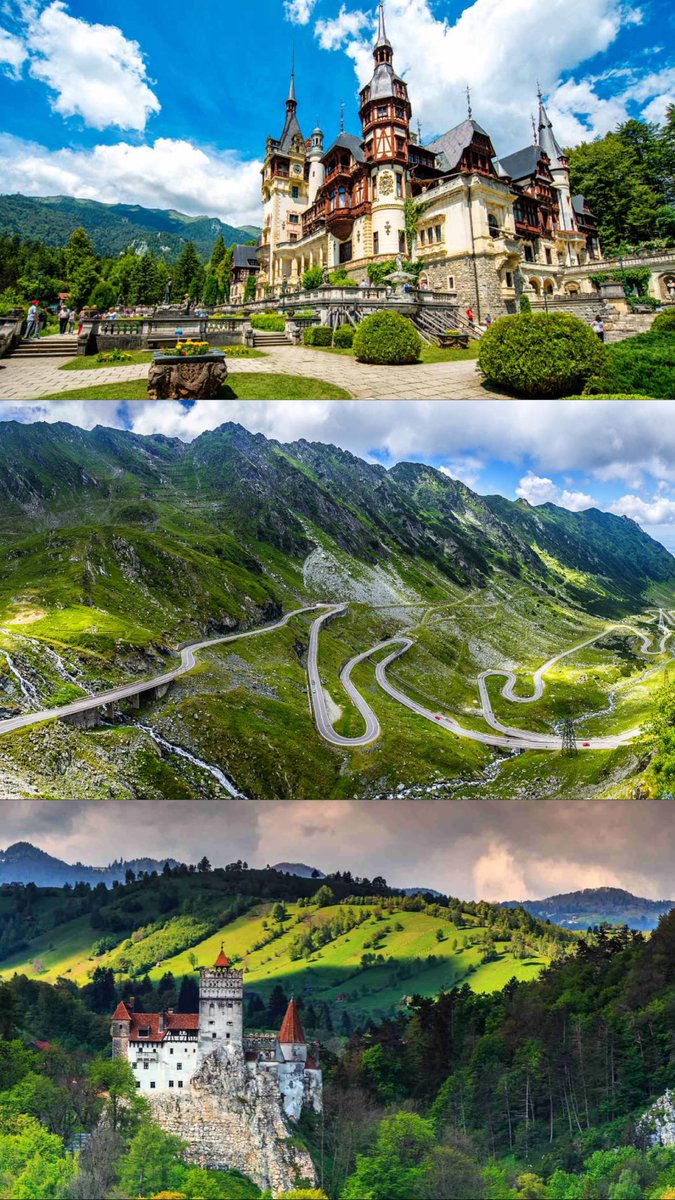 Romanian Patriot tweet media