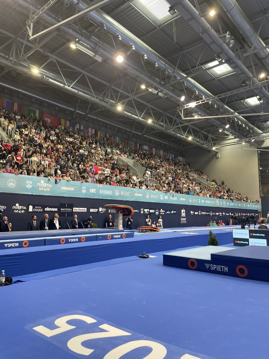 Domdesign® tweet media