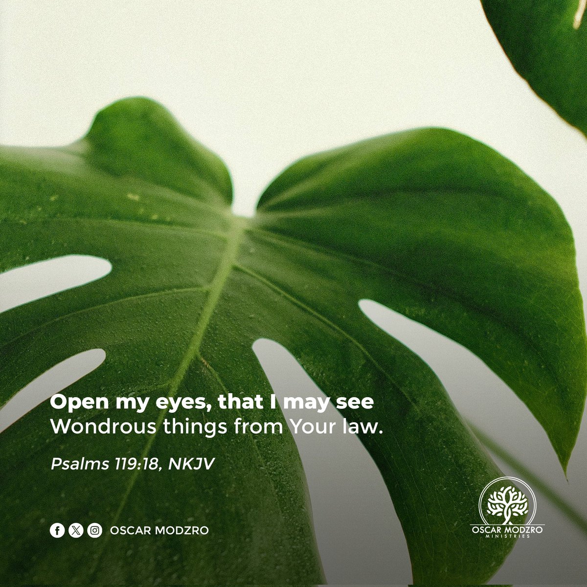 OscarModzro's tweet image. There are lots of mysteries, insights and counsel in the word of God. Yet we cannot see them by simply reading the Bible. It takes the Holy Spirit to open your eyes to see. Anytime you're about reading your bible, pray the Holy Spirit opens the eyes of your understanding.