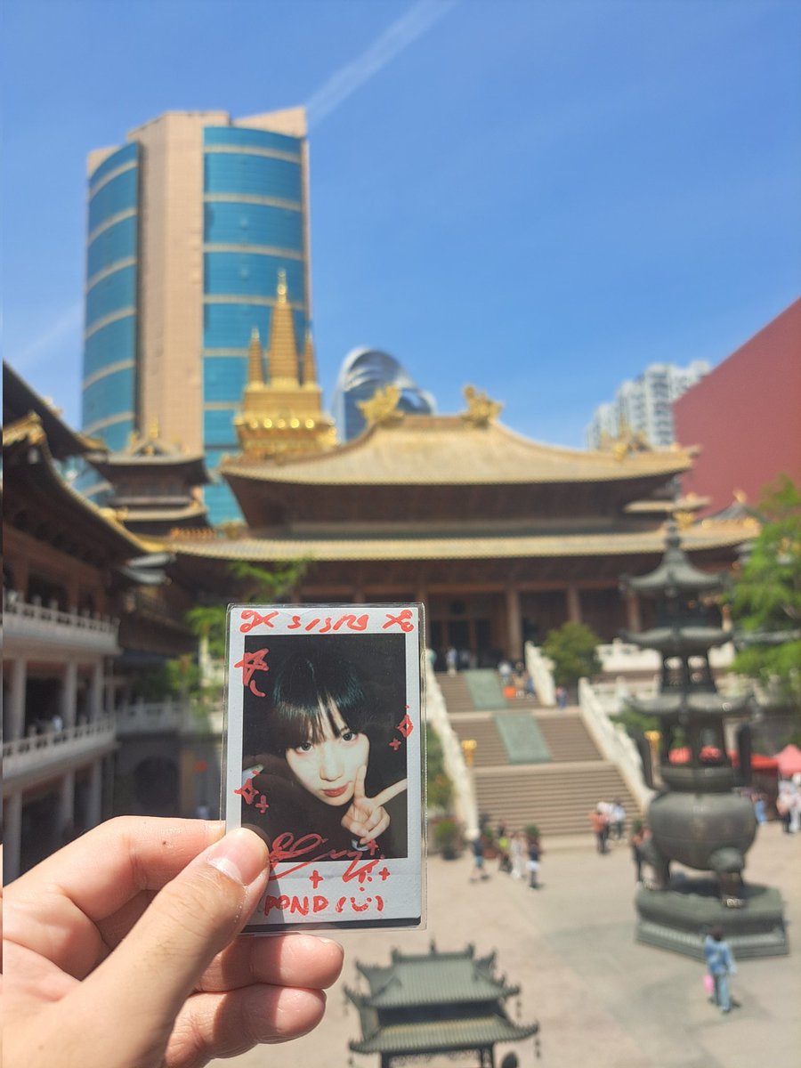 pondrinho99's tweet photo. Jiang'an temple 🛕
Jade buddha temple🛕
100% DORAEMON &amp; FRIENDS TOUR  in Shanghai 💯
Forgetmenot flower 🪻Yuyuan Garden https://t.co/n7zE0HfyPH