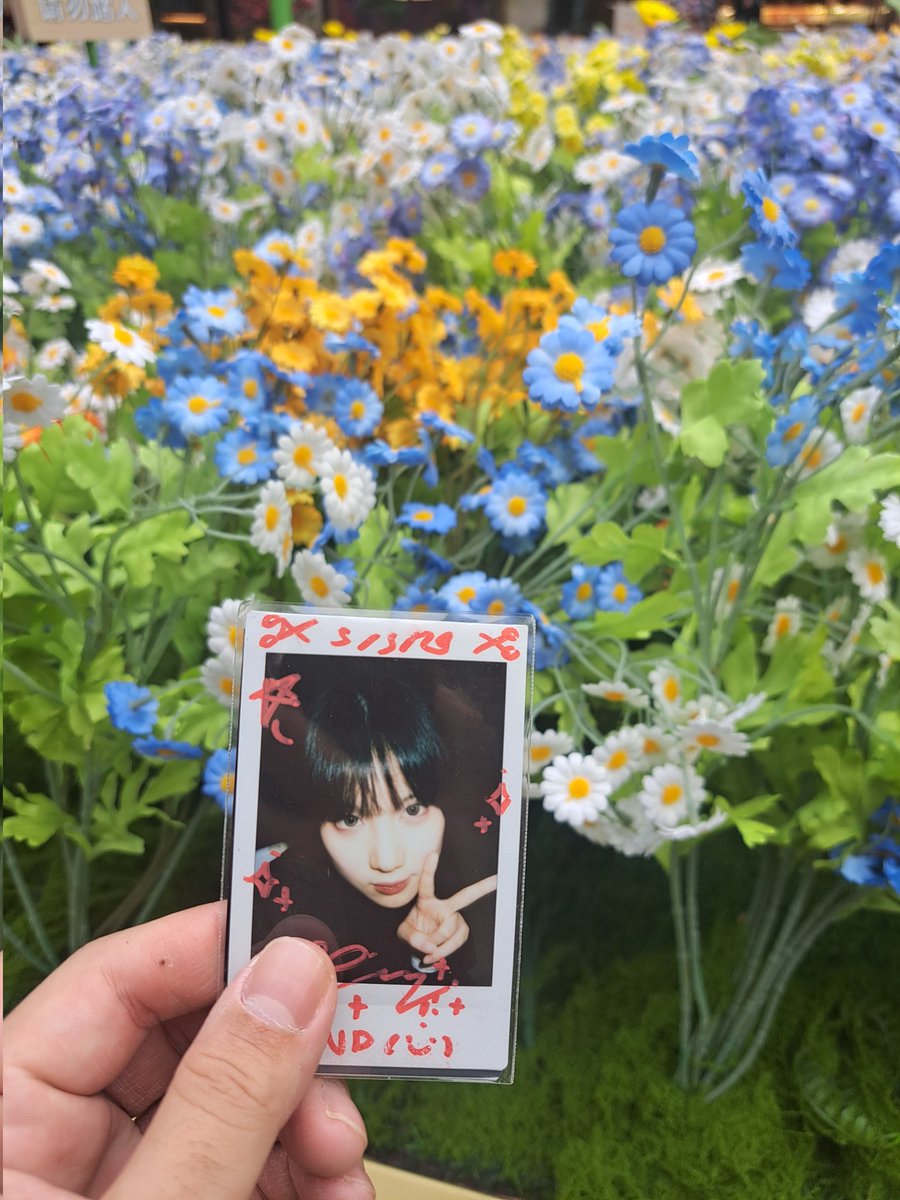 pondrinho99's tweet photo. Jiang'an temple 🛕
Jade buddha temple🛕
100% DORAEMON &amp; FRIENDS TOUR  in Shanghai 💯
Forgetmenot flower 🪻Yuyuan Garden https://t.co/n7zE0HfyPH