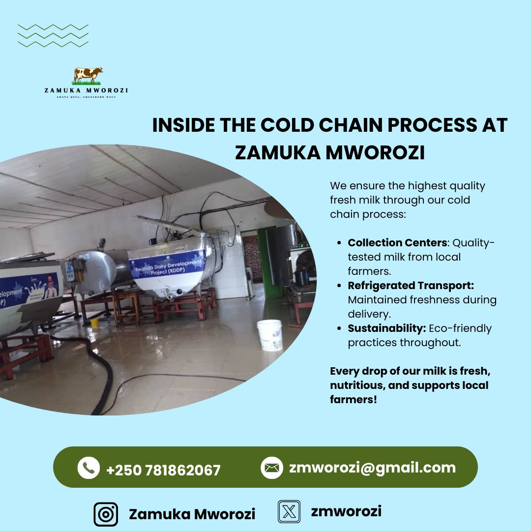 Zmworozi's tweet photo. Keeping it cool! Fresh, nutritious milk—thanks to our cold chain system. No spoilage, just pure dairy goodness! 
#ColdChain #FreshMilk #ZamukaMworozi #DairyExcellence #FarmToFactory https://t.co/GSbr9fy2bm