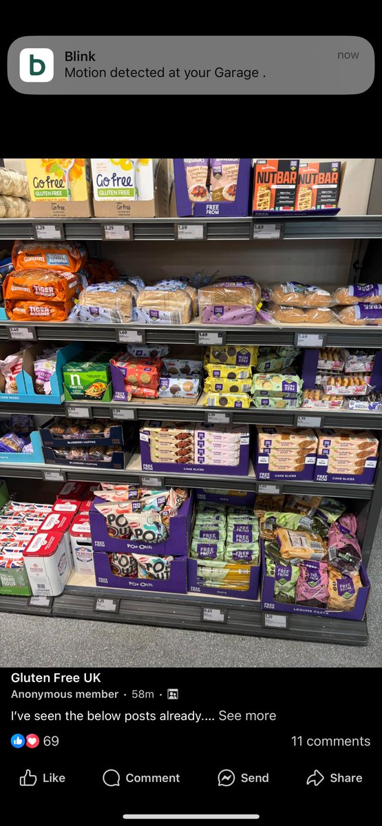 Antonia williamson tweet media