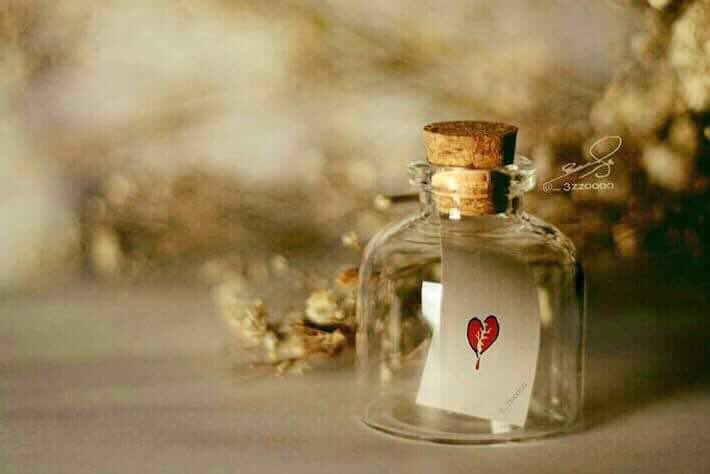 #بوح_الخاطر

الشخص الأناني ، عندما يكتفي يختفي .