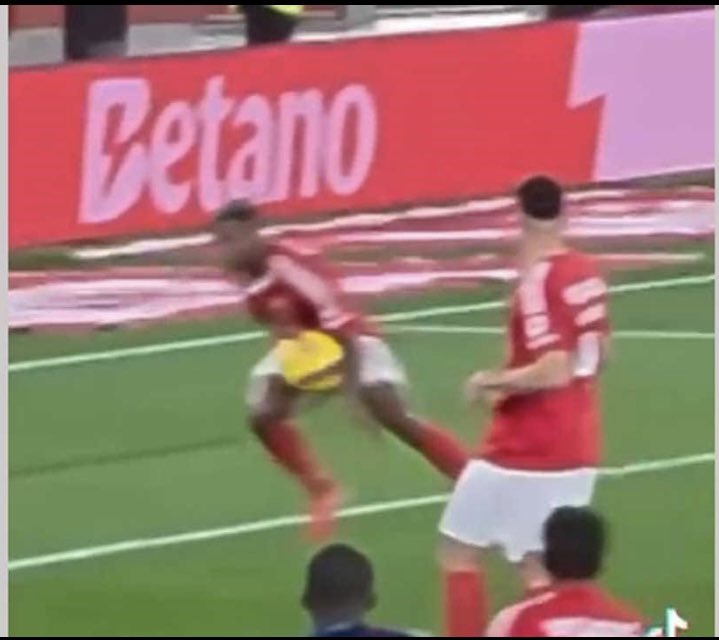 RUGIDO DE CAMPEÃO🦁 tweet media