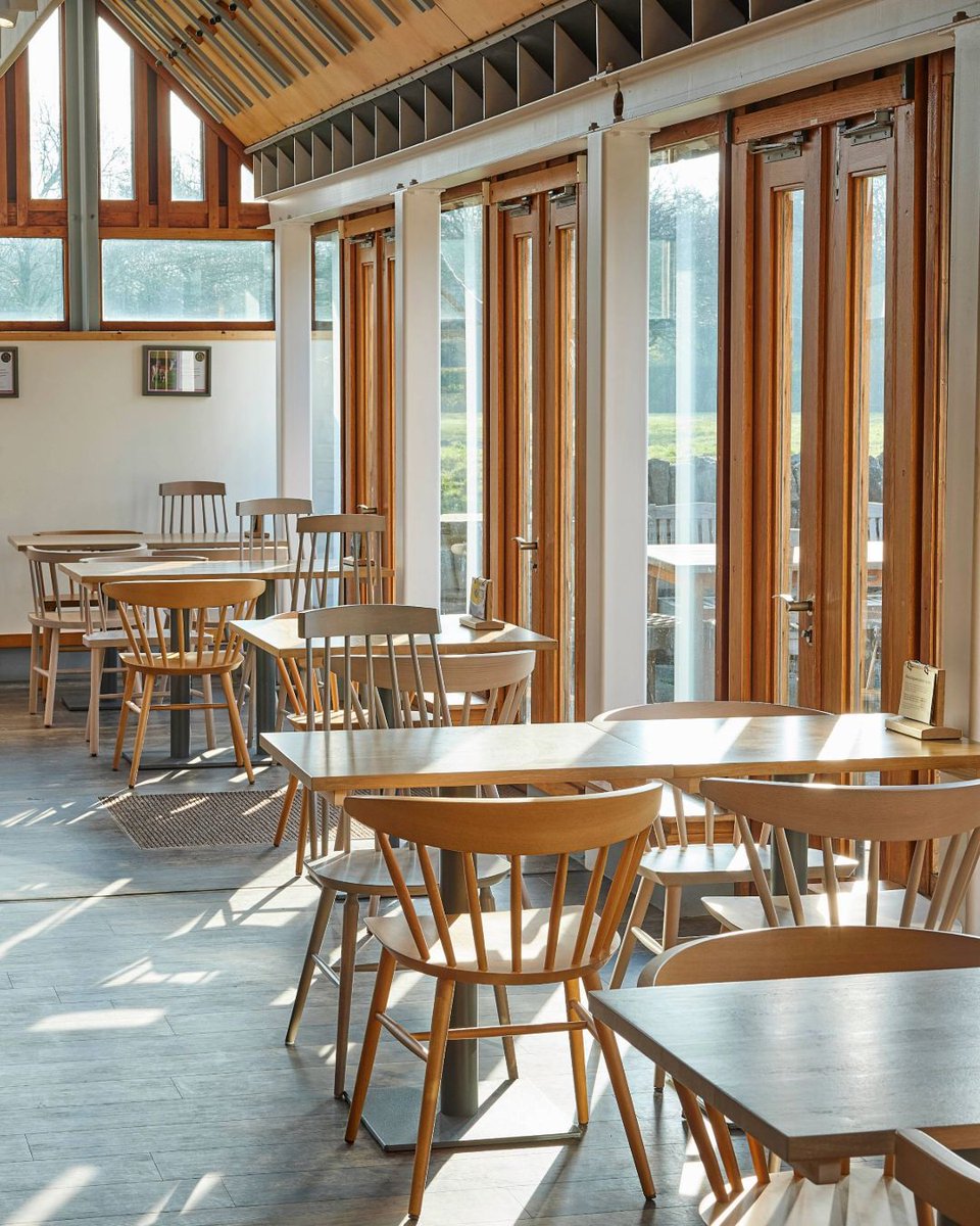 Protocol Furniture tweet media