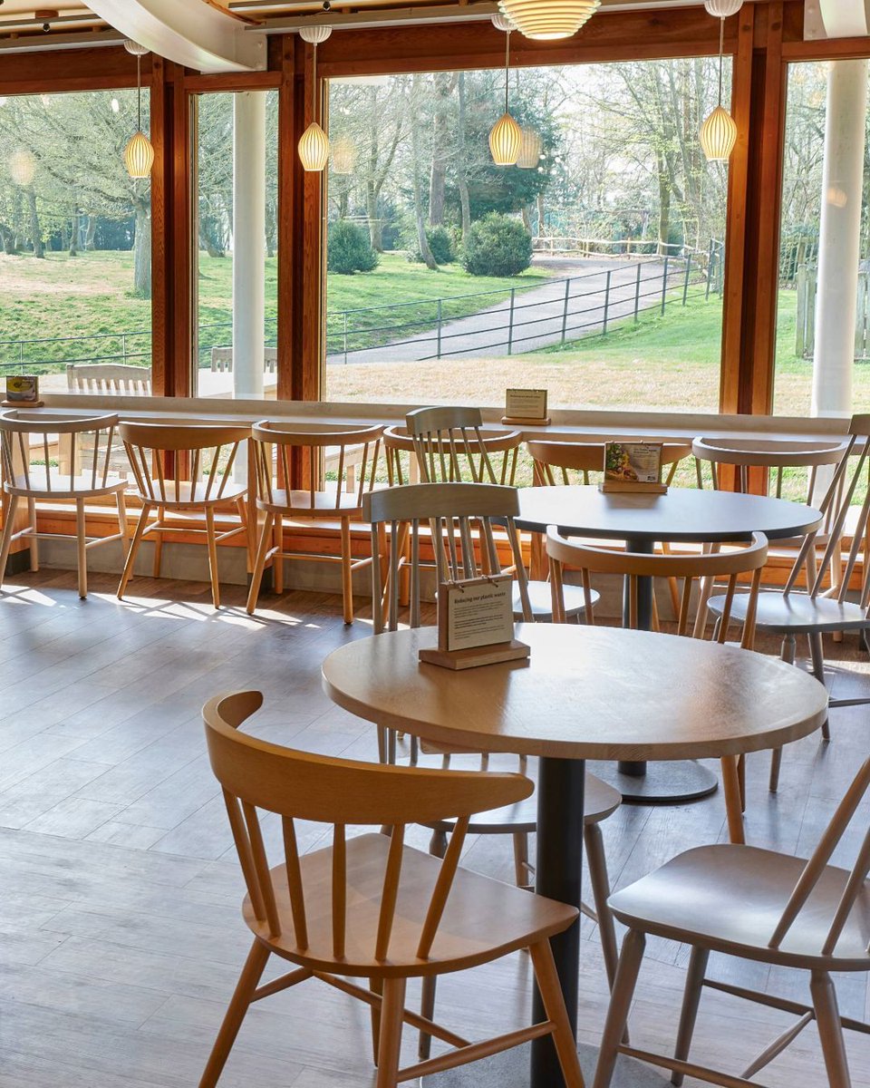 Protocol Furniture tweet media