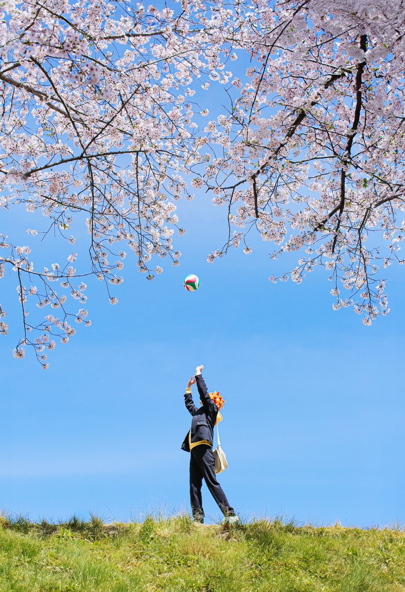 ﾔﾏｼﾞ tweet media