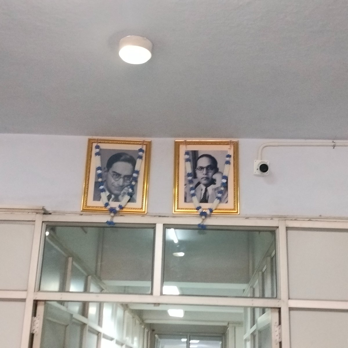 Clicked this in December at ISI Delhi!