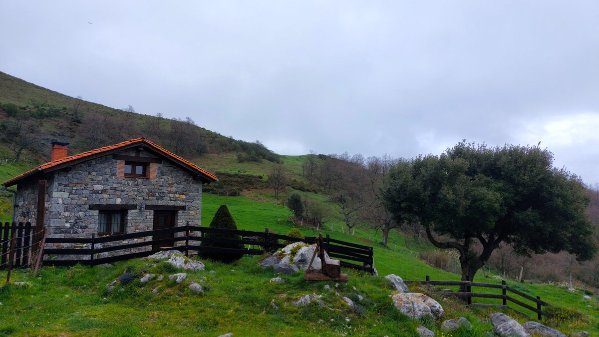 Decirme que pensáis igual que yo...🍃🩶 🥰