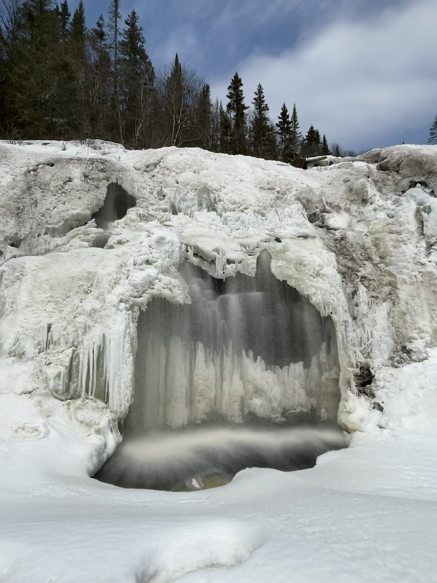 Joe Maurice tweet media