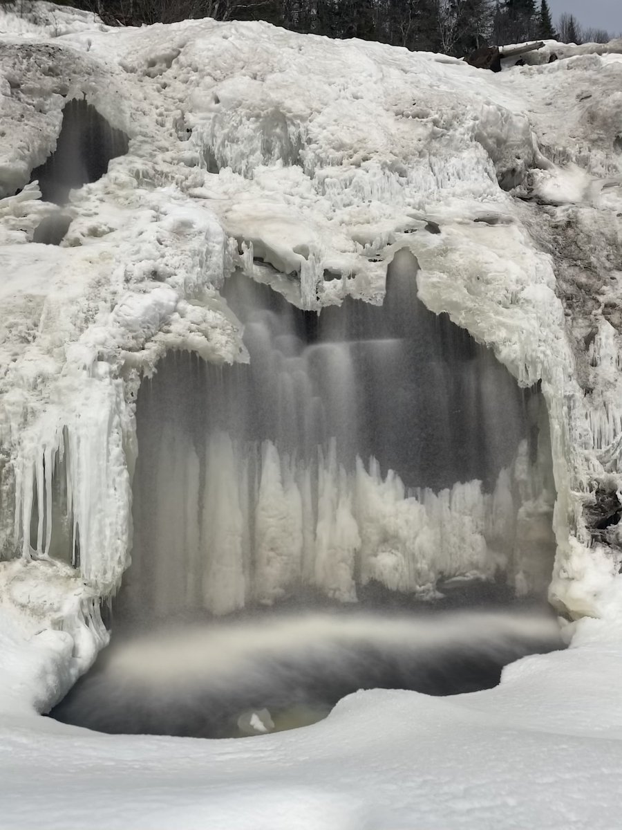 Joe Maurice tweet media