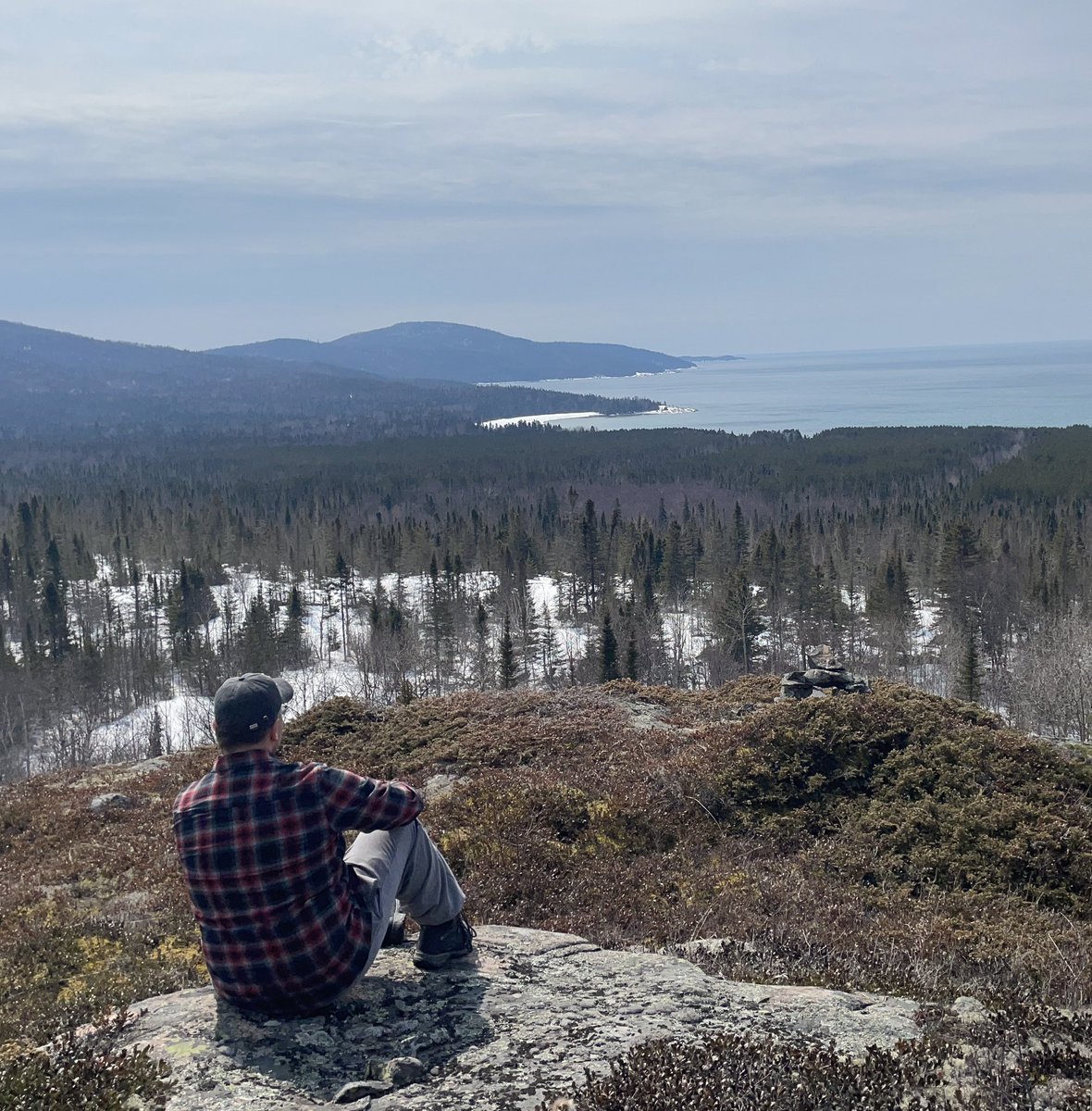 Joe Maurice tweet media