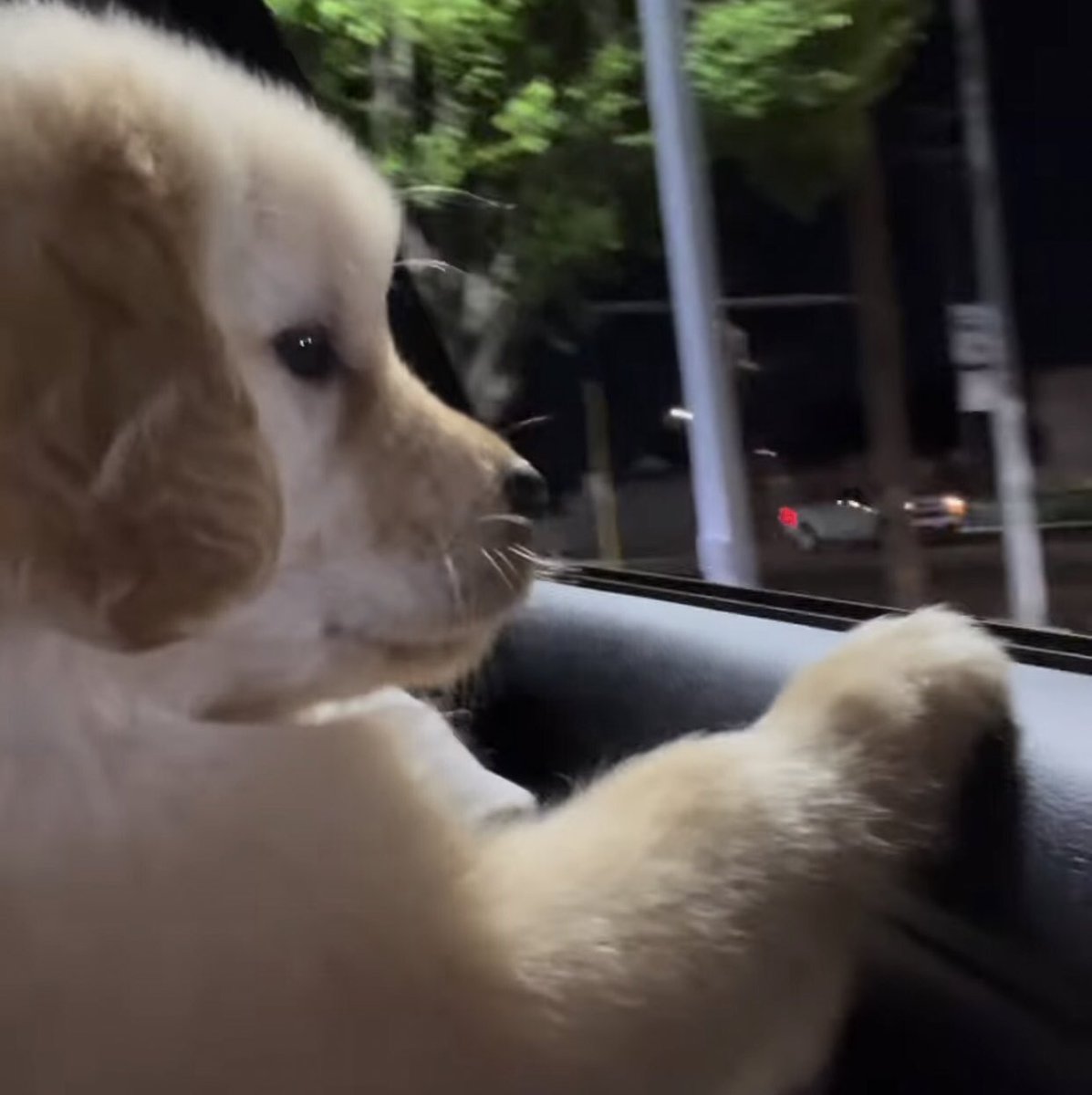 ทำไมไม่มีสาวๆปะแป้งเราเรย งอน