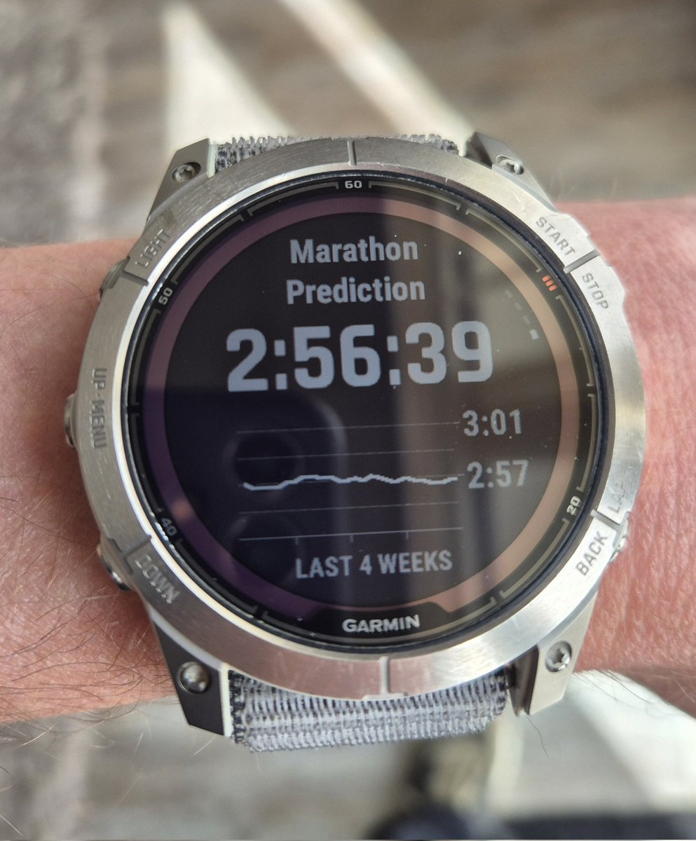 Orthochimp tweet media