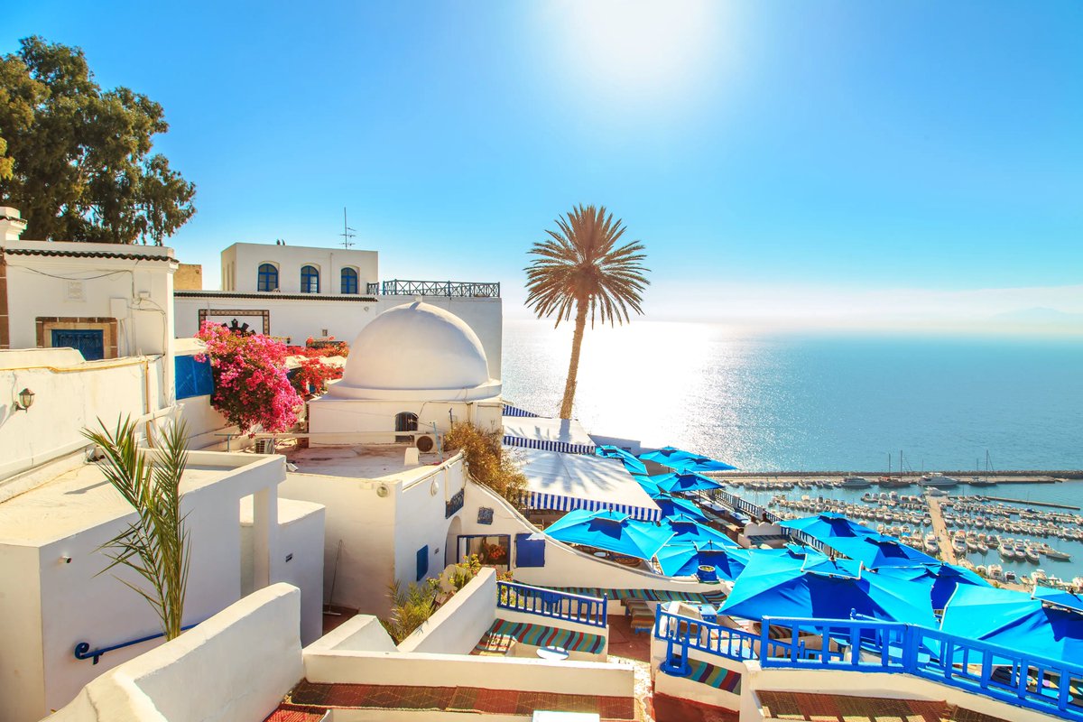 TunisiaOn's tweet photo. The courtyard of a typical house in Sidi Bou Said,Tunisia. Sidi Bou Said is a town in northern Tunisia known for the use of blue and white in it's architecture. #SidiBouSaid #CristalWater #SummerIsComing #Summer2025 #LoveIsInTheAir #Waiting4You #Tunis #Tunisia #Tunisie https://t.co/TUrJz5XH1S