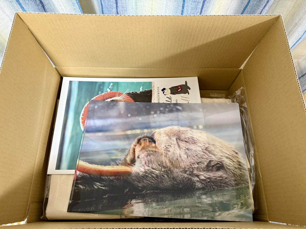 リロありがとうセット