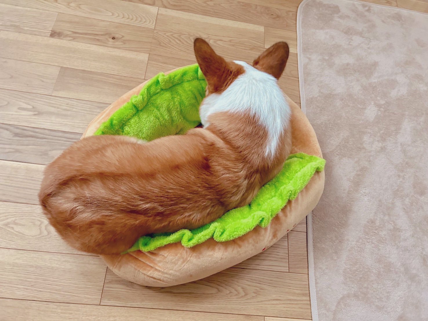 コーキーさん専用 0790757739635_300x@2x.jpg?v=