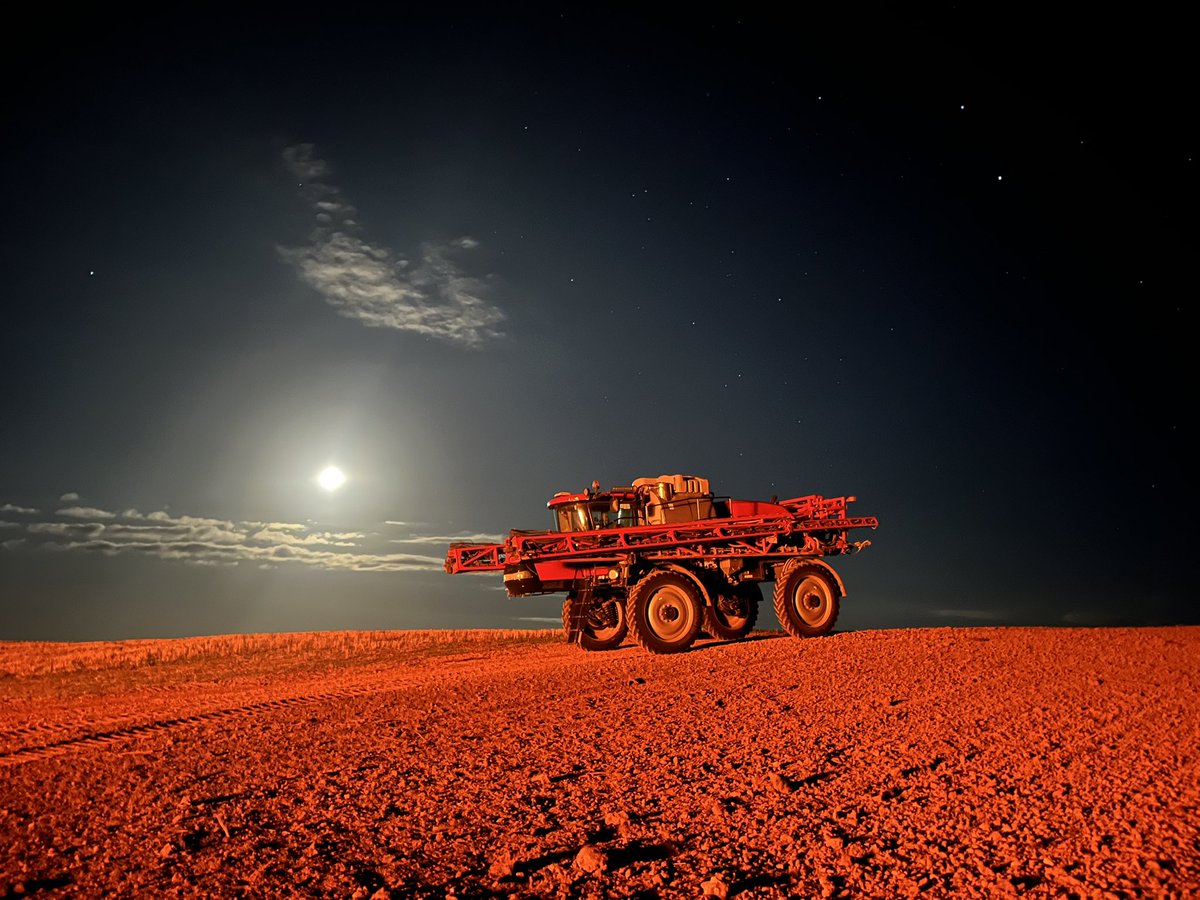 Another cracker night seeding 25