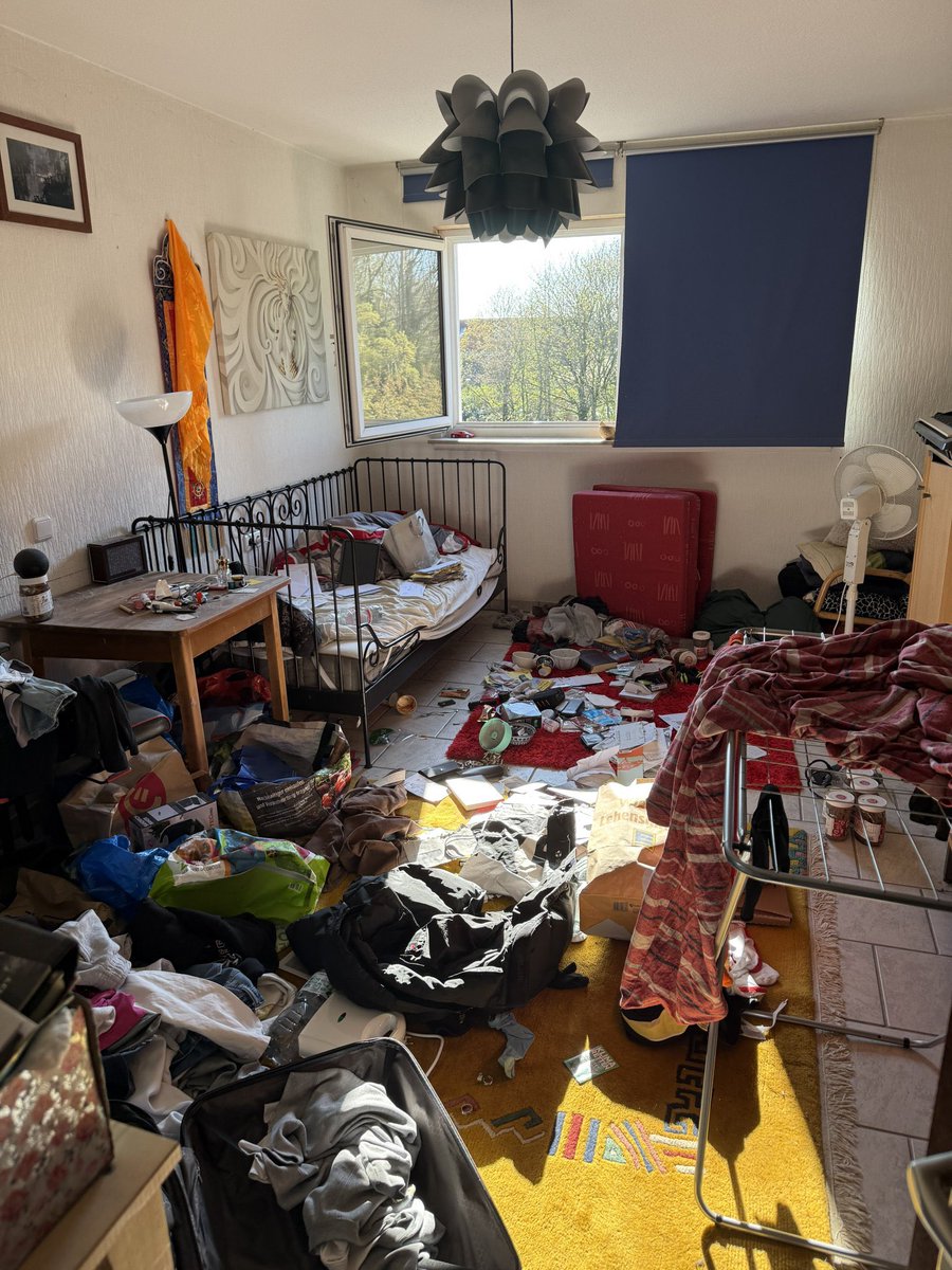 Don Rookie tweet media