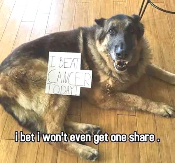 The Four Hearts (@t4hrts) on Twitter photo 