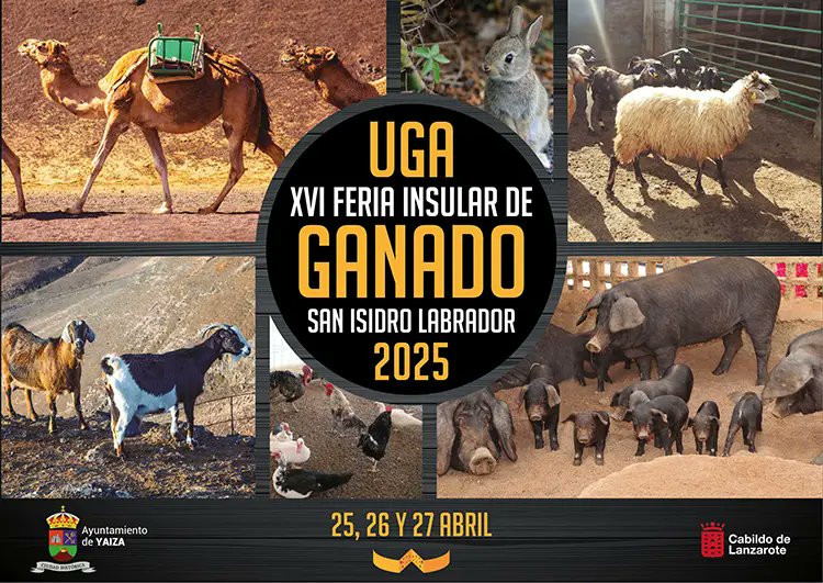Feria Insular de Ganado de Uga 2025 (Del 25 al 27 de abril)

ociolanzarote.com/eventos/ferias…